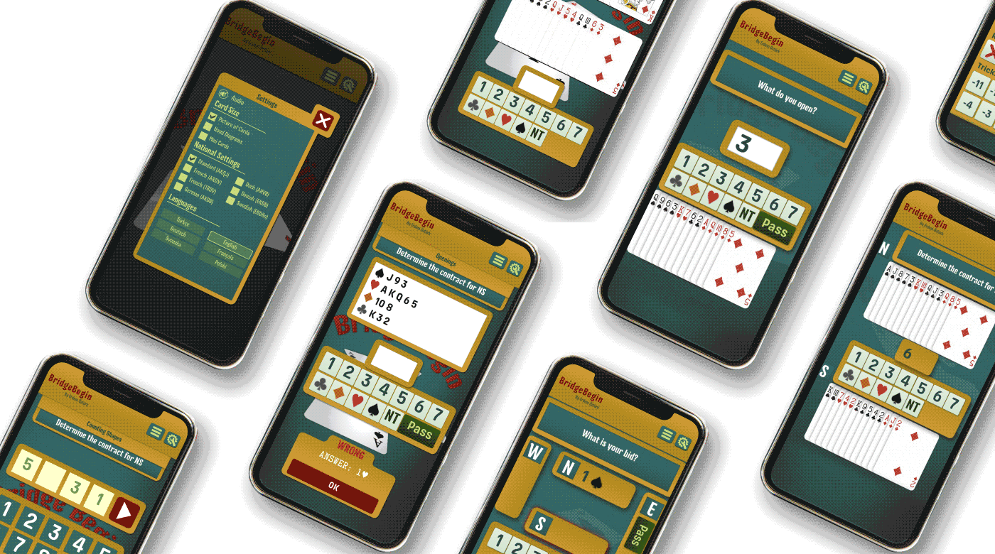 BridgeBegin animated mobile screens